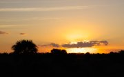 P1000855-web * Sunset over Viera Wetlands * Sunset over Viera Wetlands * 1050 x 659 * (156KB)
