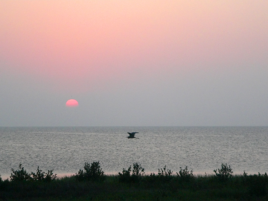 You have reached the last slide